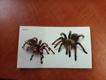 Temporary Tattoo Stickers Scorpion Tatouage Tatuajes Spider Body-Art Halloween Rocooart