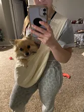 Hecho a mano para mascotas perro al aire libre de viaje bolso de la lona de un solo hombro bolso comodidad de viaje Bolso grande de hombro transpirable