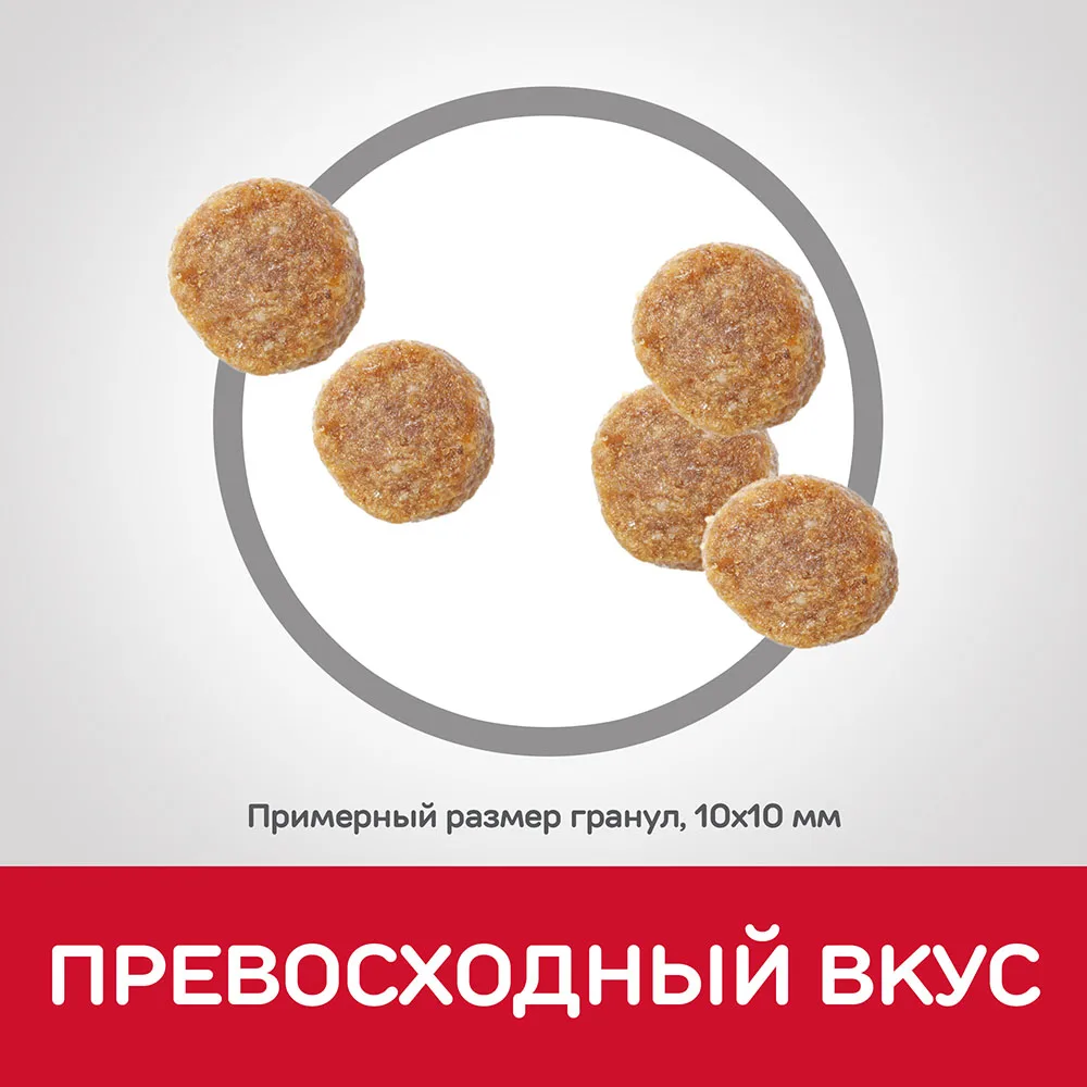Сухой корм Hill's Science Plan для взрослых кошек для поддержания жизненной энергии и иммунитета, с тунцом, 10 кг