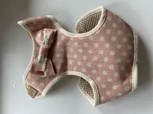 Conjunto de arnés y correa de nailon para perros y gatos, arnés de perrito, Collar de gato de plomo, chaleco para gatos pequeños, suministros para gatos y mascotas