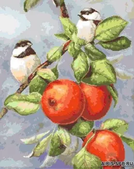 

G-1128 set for embroidery 'Tapestry Classic' 'Little birds 1', 21x26,4 cm