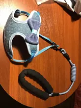 Breakaway Cat Collar Cute Bow Vests Cat Harness and Leash Cat Product Cat Accessories