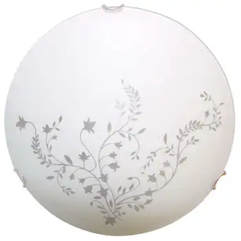 

Lamp NPB 01-2х60-139 "tenderness" D300 M16 60 W E27 IP20 matte white/clip Ash. eleteh 1005204366