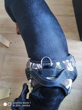 Perro suministros nailon mascota perros arnés Collar de Pet de alta calidad productos harnais pour chie para grandes Grande Mediano pequeño arnés de perro