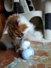 Cat-Toy Smart-Electric-Balance Automatic Pet-Cat Playing Funny Car Usb-Charging