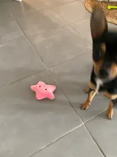 Pet-Supplies Plush-Dog-Toy Dorakitten Pet-Chew-Toy Bite-Resistant Creative Cartoon 1pc