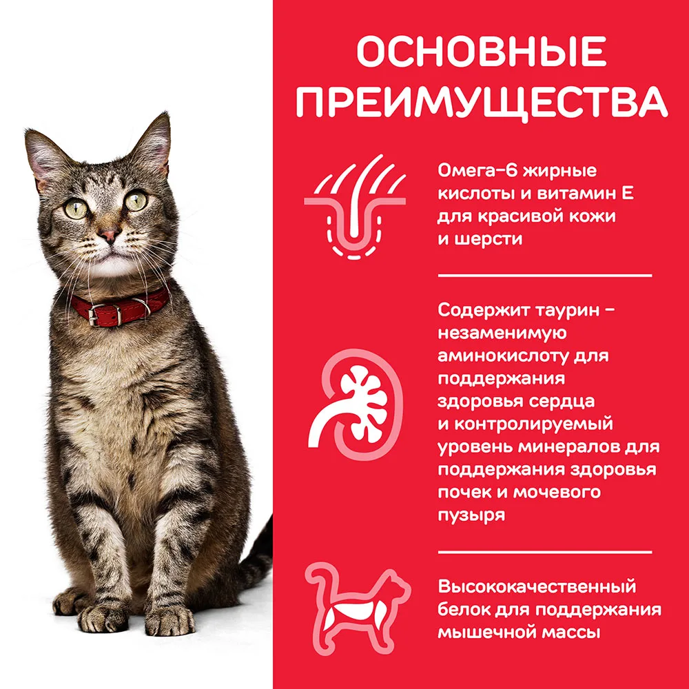 Сухой корм Hill's Science Plan для взрослых кошек для поддержания жизненной энергии и иммунитета, с курицей, 15 кг