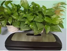 Electric-Vacuum-Sealer-Machine Food-Saver Automatic Bags Household Best 110V 220V 