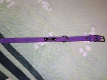 Collar Pet-Products Puppy Engraved French Bulldog Small Dogs Custom Personalized Pug