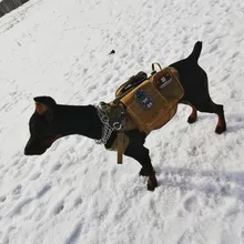 Vest Pouches Pet-Harness Dogs No-Pull Training Molle Military Hiking Tactical Large Medium