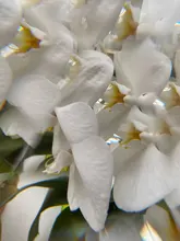 Prism-Lamp Chandelier-Decor Cut-Glass-Pendant CRYSTAL Diy Suncatcher Faceted Diamond