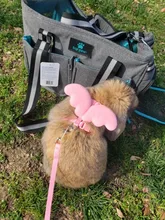 Ala del ángel arnés del animal doméstico pequeño perro mascota conejo gato pecho conjunto adorable Collar cinturón de seguridad ajustable caminar al aire libre Correa cuerda 6 Color