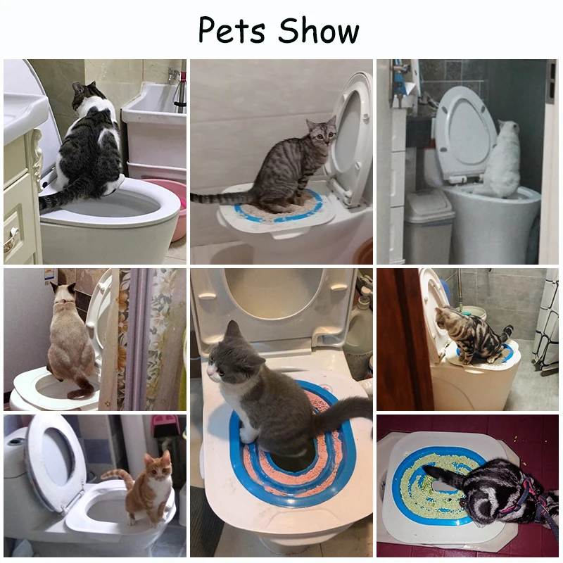 Rocco Roxie Supply Litter Box Odor Eliminator Review The