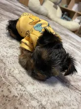 Traje para perros con estampado de animales, abrigo suave de algodón para mascotas, Jersey, camisa, chaqueta, suéter, ropa para mascotas