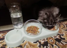 Pet-Feeder Pet-Products Food-Bowl Water-Dispenser Cats Drinking Automatic Dogs for 2-In-1