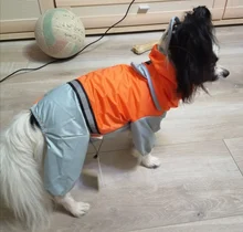 Jumpsuit Raincoat Pet-Cloak Teddy Waterproof-Jacket HOOPET Dogs Chihuahua for Small Cat