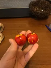 Nest Bird-Cage Prop-Bird Photography-Props Vintage-Decoration Optical-Store Creative