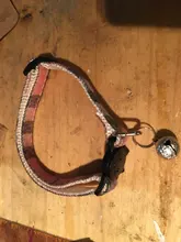 Pet-Cat-Collar Puppy-Accessories-Supplies Kitten Bell Adjustable 