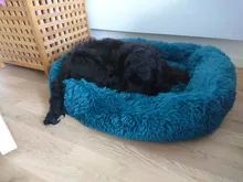 Cat Nest House Bed-Basket Sleeping-Mat Square Plush-Calming Cozy Dogs Warm Small Large