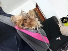 Bag Carrier Handbag Tote-Pouch Sling Puppy Pet-Dog-Cat-Sling Travel-Safe Outdoor Kitten