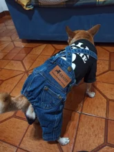 Jeans Clothing Jacket Coat Dog-Costume Puppy Dogs Small Denim Pet Medium for Chihuahua