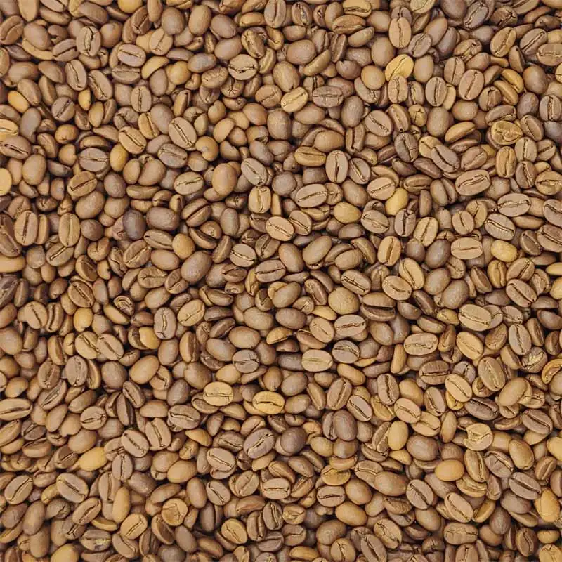 Coffee Beans 500 g Tabera Monsoon Malabar freshly roasted