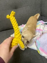 Pawstrip-Cuerda de juguetes para perro, resistente a las mordeduras, limpieza de dientes, juguete para masticar para perros, animales de dibujos animados, tienda de mascotas, 1 ud.