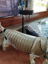 Dog-Down-Jacket French-Bulldog-Vest Pet-Chihuahua-Coat Dogs Reflective Reversible Winter