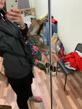 Transportador de mascotas para perros, malla para perros, productos de viaje para exterior, bolsas transpirables con asas para hombros para perros pequeños