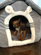 Bed-Mat Basket Kennel Sofa Dog-House Cat-Nest Puppy Cave Foldable Small Chihuahua Pet-Products