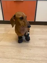 4 unidades/juego de zapatos de lluvia antideslizantes de Cachemira suave y cálida para mascotas, calzado suave a prueba de viento para perros y mascotas, zapatos impermeables antideslizantes