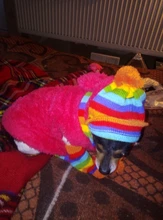 Pet-Puppy-Accessories Socks Hats Cat-Products Dogs-Knitted Small Chihuahua Little Winter