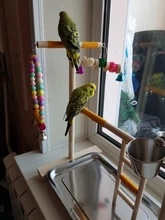 Perch-Stand Ladder Feeder Playground Bird Parrot with Wooden Platform Gym Cups Interactive-Toys