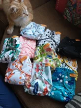 Diapers Happy-Flute Tiny Newborn-Baby Double-Gussets Bamboo Cotton Organic Reusable 10pcs