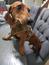 Dog-Harness Loop Dog-Molle-Vest Working Tactical with 2-Metal Buckle Hook Clip Handle