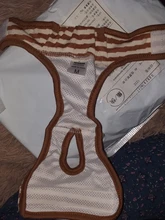 Menstruation Underwear Panties Jumpsuit Diaper Dog-Shorts Pet-Physiological Sanitary