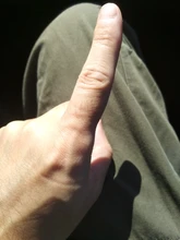 Sports-Bra Vest Back-Padded Gym Fitness Seamless Workout Push-Up Running Women Shockproof