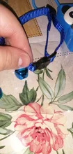 Cat-Collar Breakaway Custom Personalized Bell Charms Pet-Names with Heart DIY And Printed