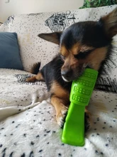 Dog-Toys Dog-Accessories Puppy Chew Interactive-Rubber Cleaning Supplier Dropship Small