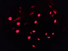 1M/2M/5M RGB LED Strip Lights SMD5050 Flexible USB Not Waterproof LED Light Strip Backlight