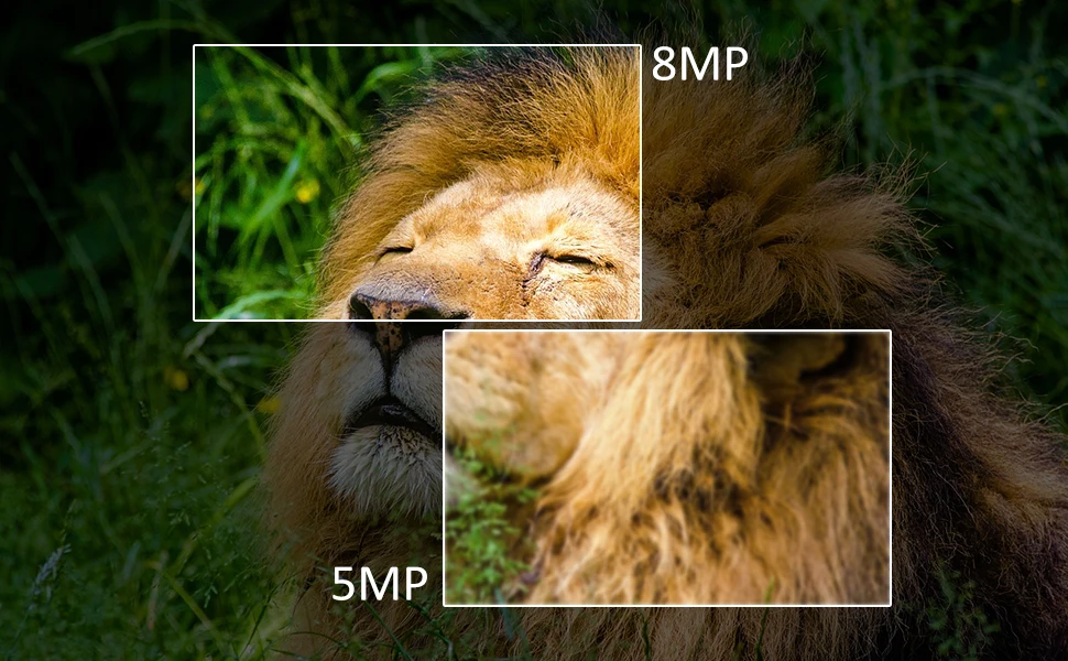 8MP