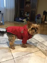 Jacket Clothing Puppy-Coat Dog-Face Dogs Reflective Waterproof Winter Apparel Small Medium
