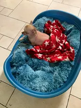 Cat-Mat Pet-Beds Square Large Super-Soft Pets Plush Solid-Color Little-Medium Warm Long