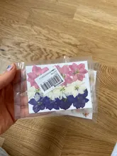 Bolsa de flores secas arte Floral molde de resina Epoxy