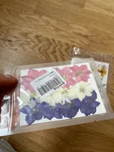 Bolsa de flores secas arte Floral molde de resina Epoxy