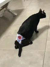 Menstruation Underwear Panties Jumpsuit Diaper Dog-Shorts Pet-Physiological Sanitary