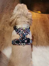 Truelove-arnés Floral sin tirones para mascotas, tela de algodón transpirable y reflectante, suave, para gatos y perros pequeños y medianos, para caminar y correr, TLH5655