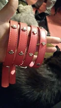 Pet-Necklace-Accessories Spiked Cat-Strap-Collar Puppy Dogs Small Adjustable Studded