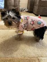 Traje para perros con estampado de animales, abrigo suave de algodón para mascotas, Jersey, camisa, chaqueta, suéter, ropa para mascotas