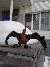 Gran oferta 1 Uds simulación Animal figuras de juguete clásico Pterodáctilo de acción figuras de dinosaurio modelo Animal colección de PVC chico juguete para regalo